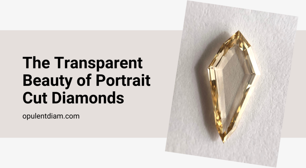 the-transparent-beauty-of-portrait-cut-diamonds